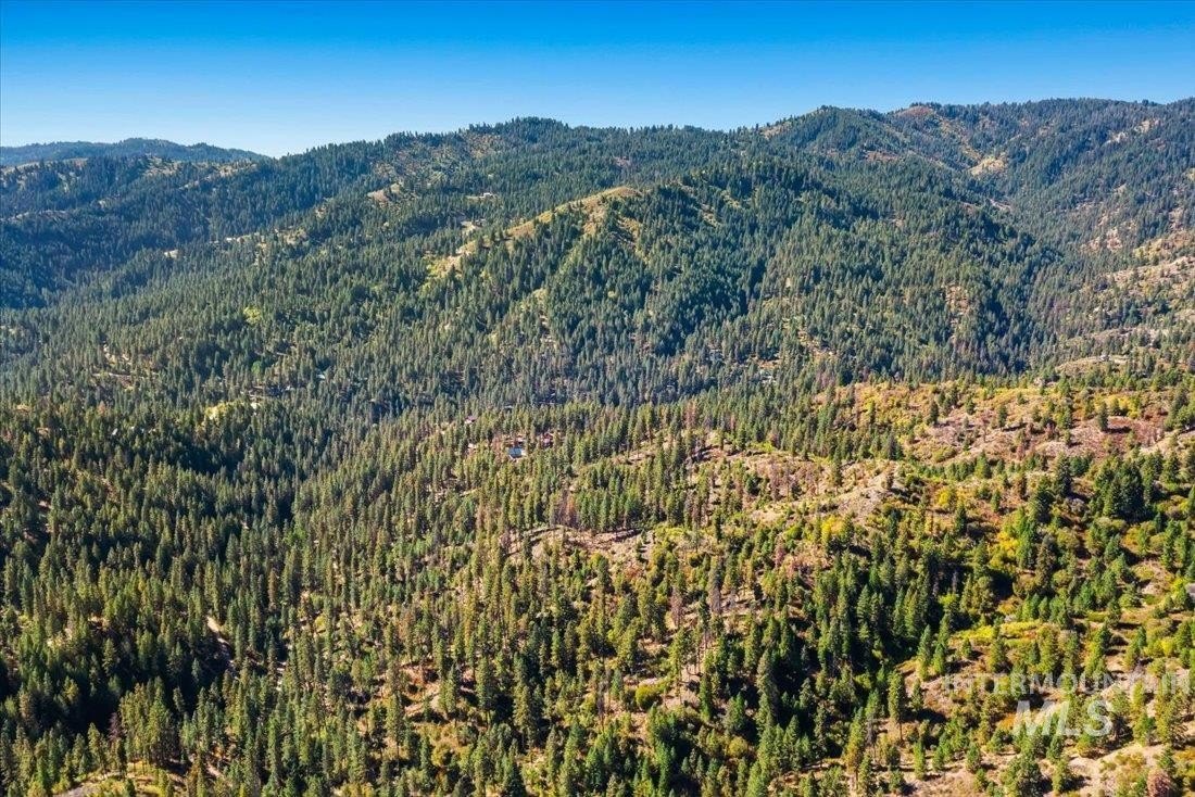 40 Acres in Boise National Forest