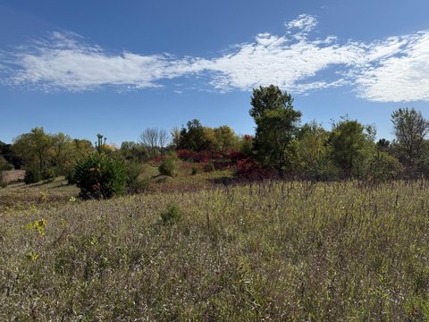Land, Webster, MN