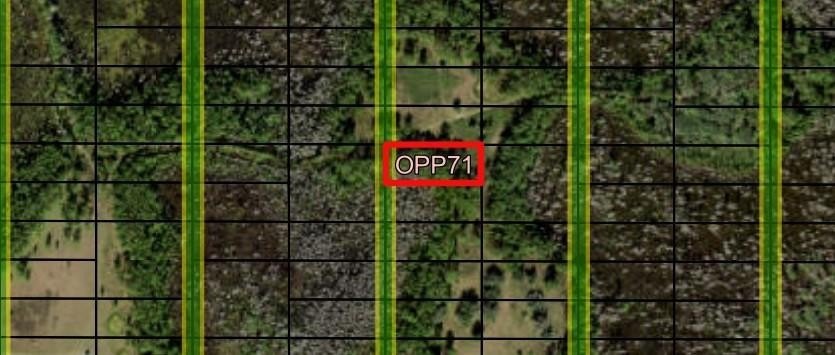Polk City Acreage for Recreation