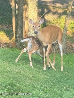 Streamfront Land in Bushkill, PA