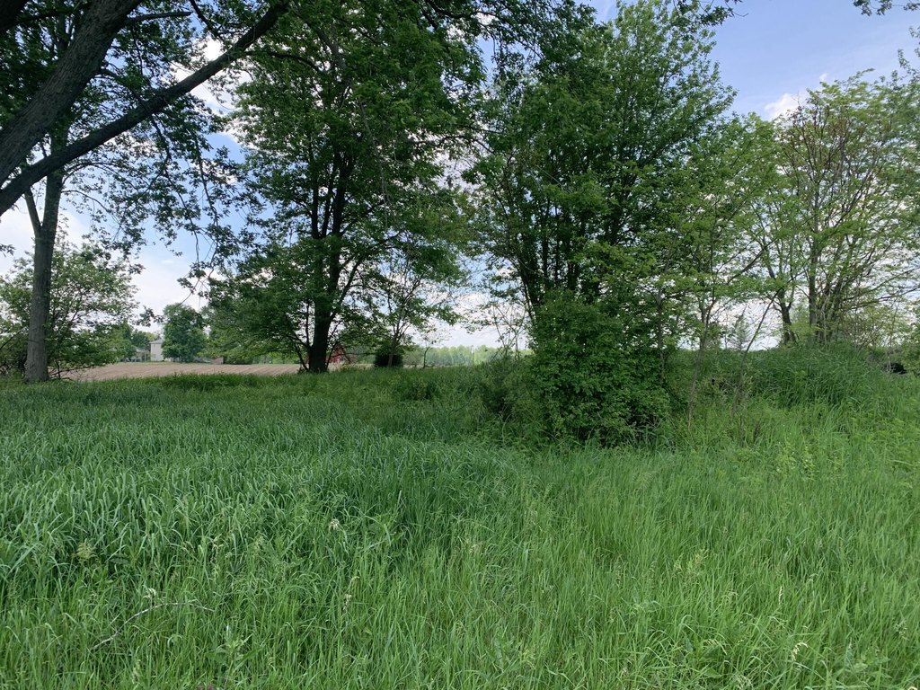 Picture 4