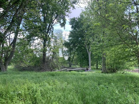 LAND - Bronson, MI