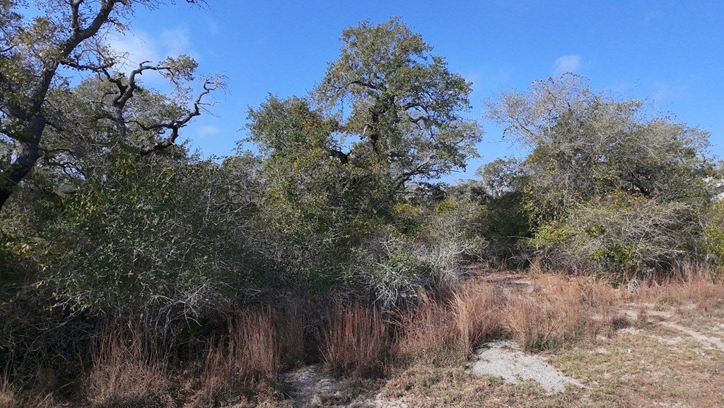 Picture 5