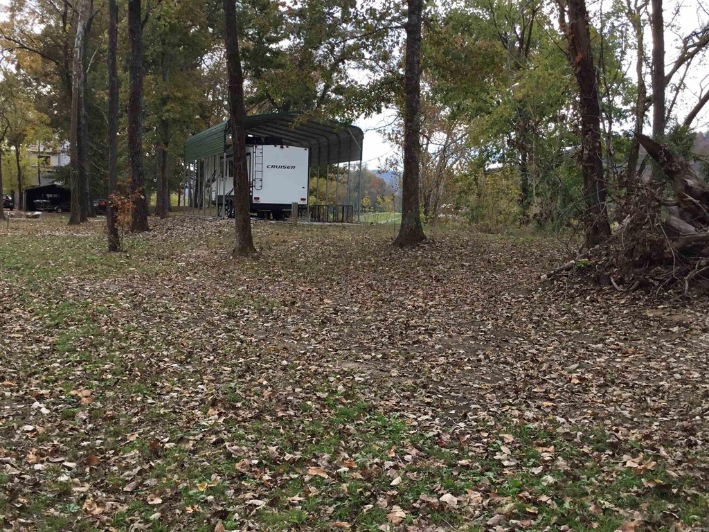 Picture 14