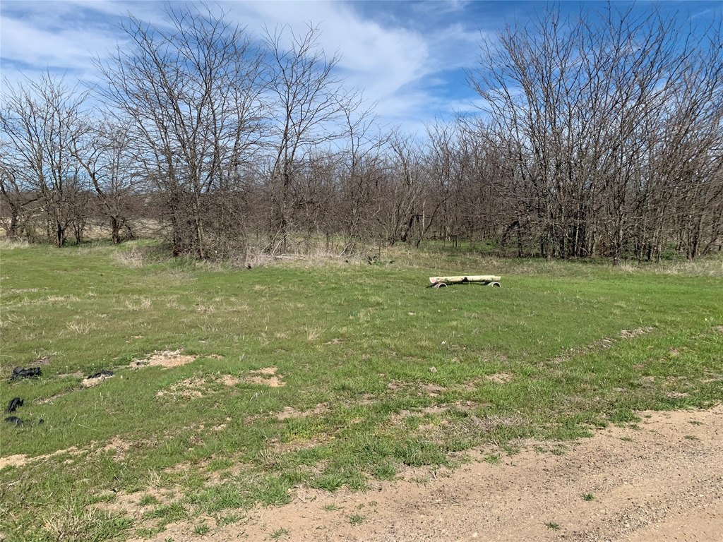 Picture 13
