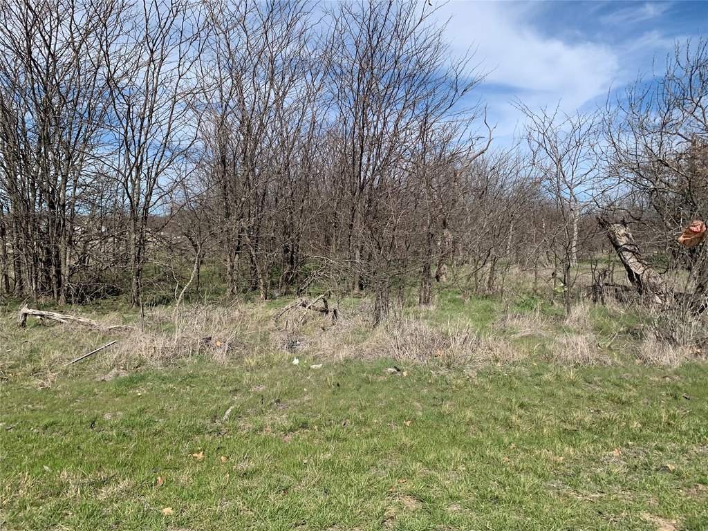 Picture 15