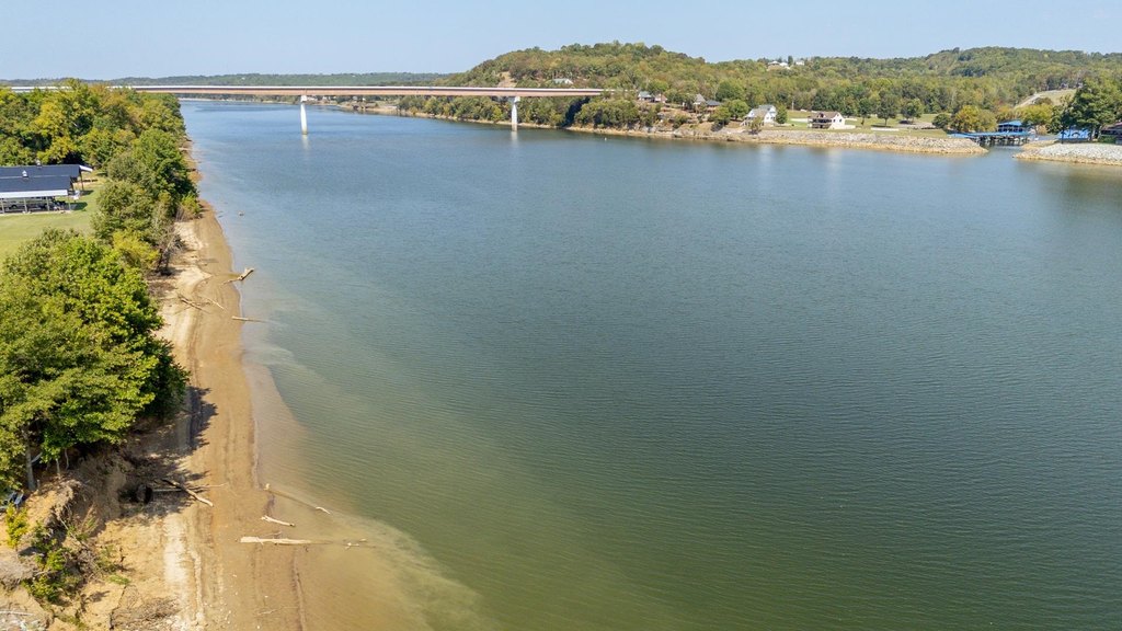 Picture 3