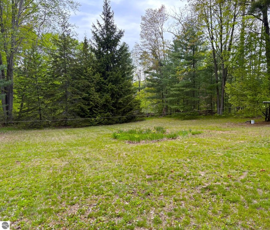 Picture 24