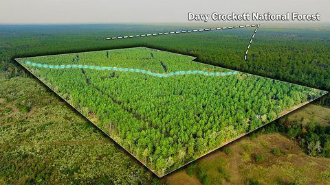 105 Acres Near National Forest