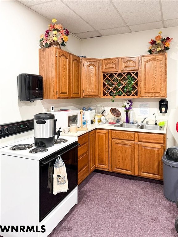 Picture 48