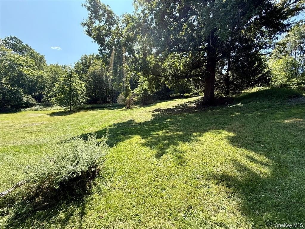 Picture 13