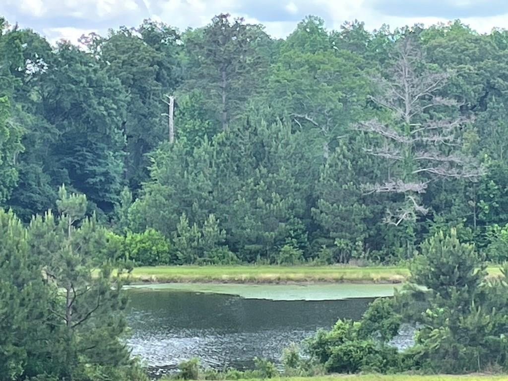 Americus, GA Land Opportunity