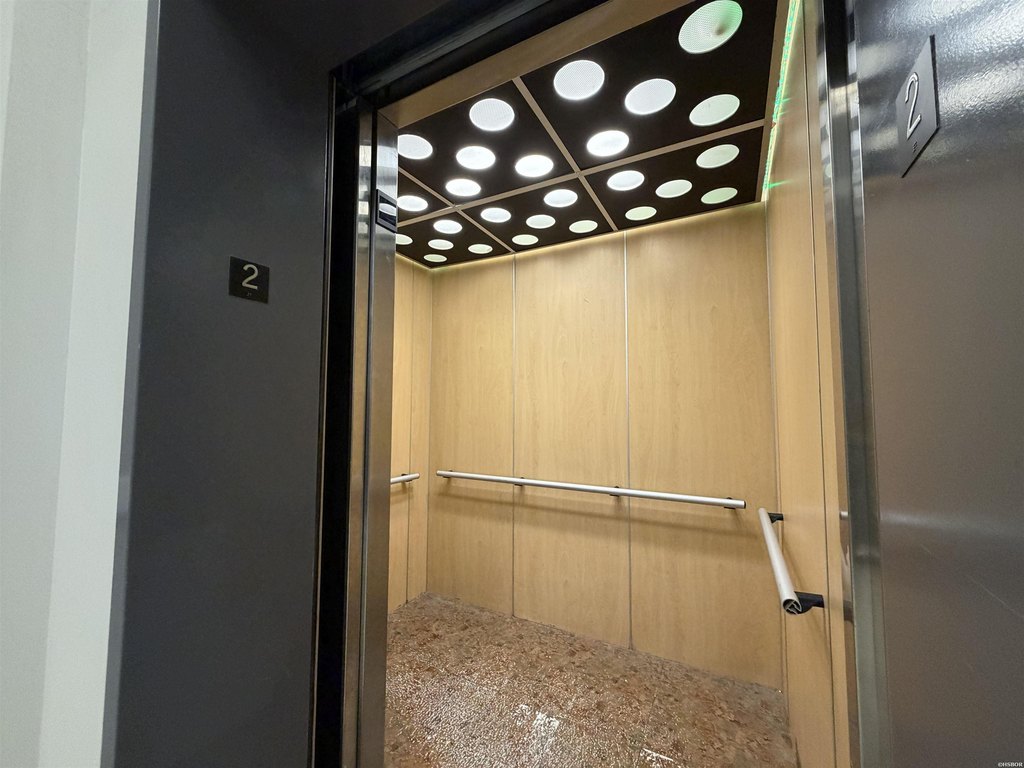 Picture 15