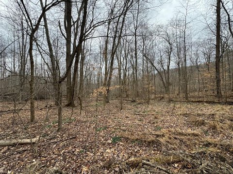 475 Acres Recreational Hunting Land
