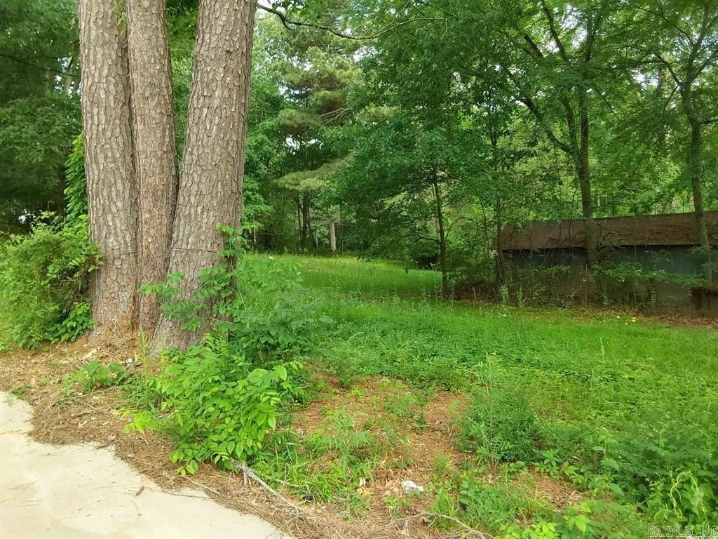 Picture 9