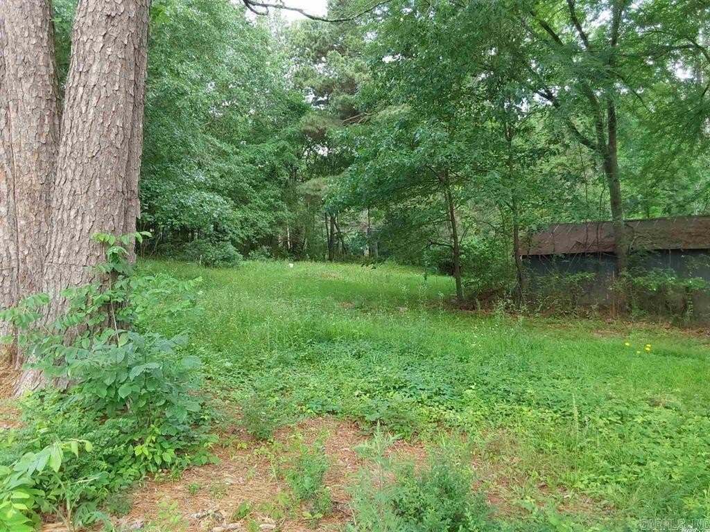 Picture 12