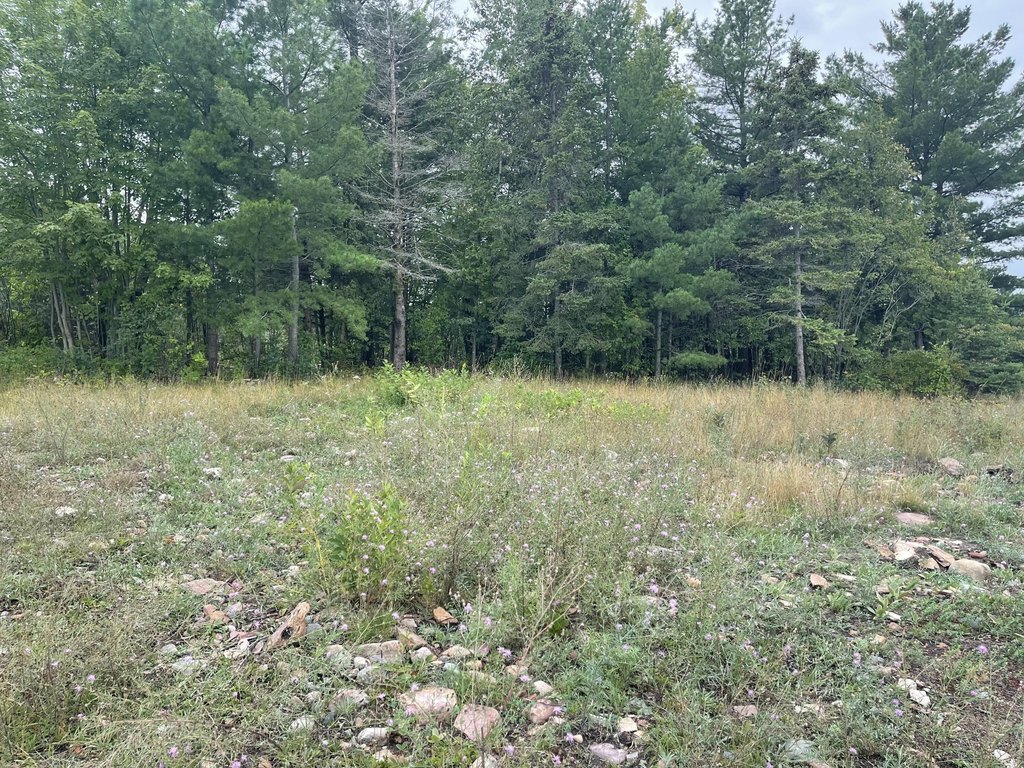 Picture 26