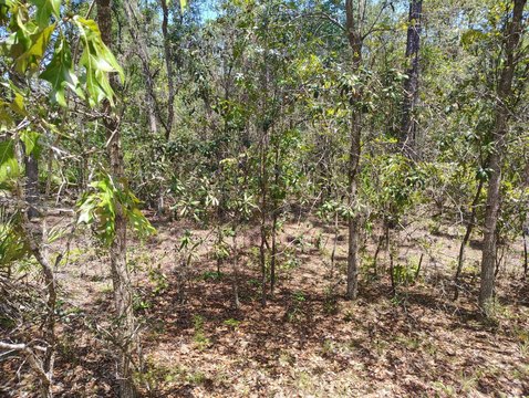 Land, Interlachen, FL
