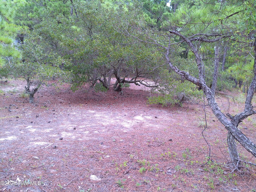 Picture 5