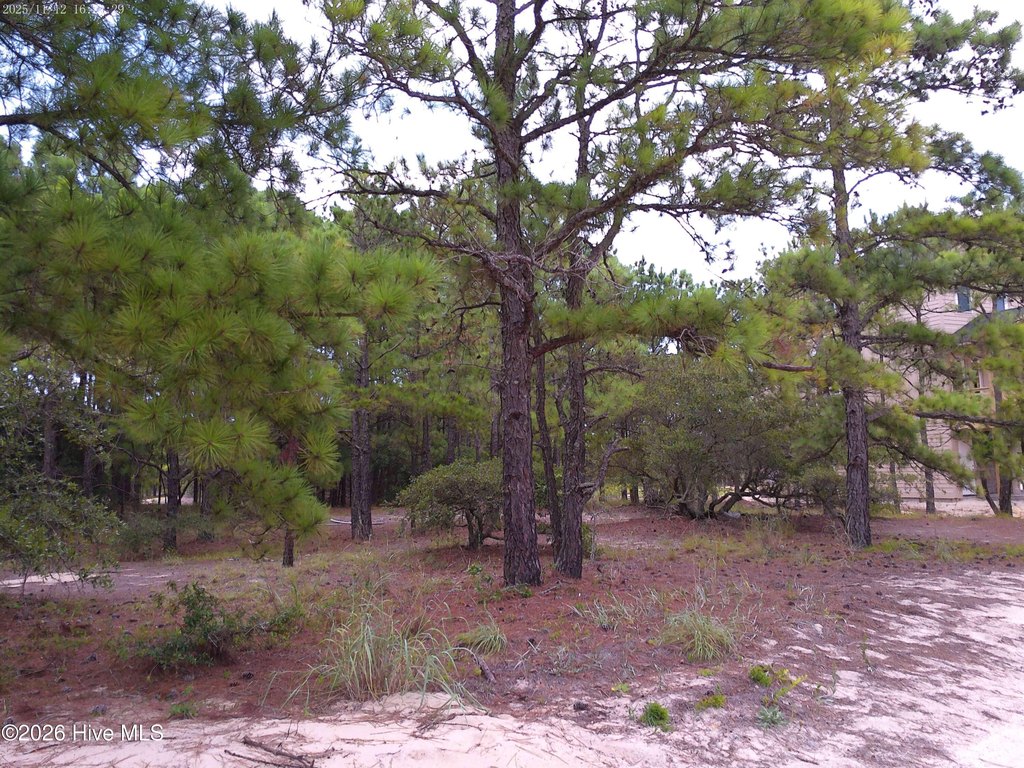 Picture 3