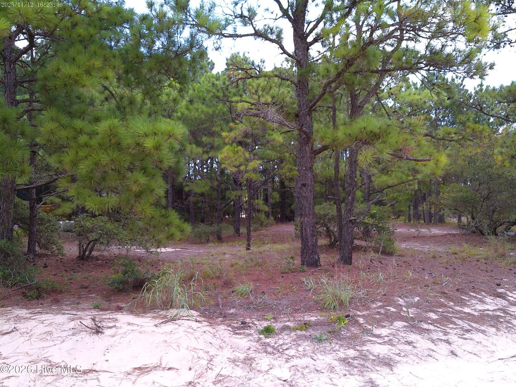 Picture 2