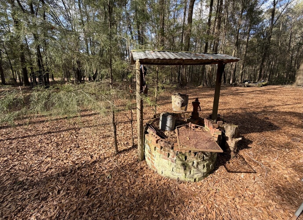 Picture 25