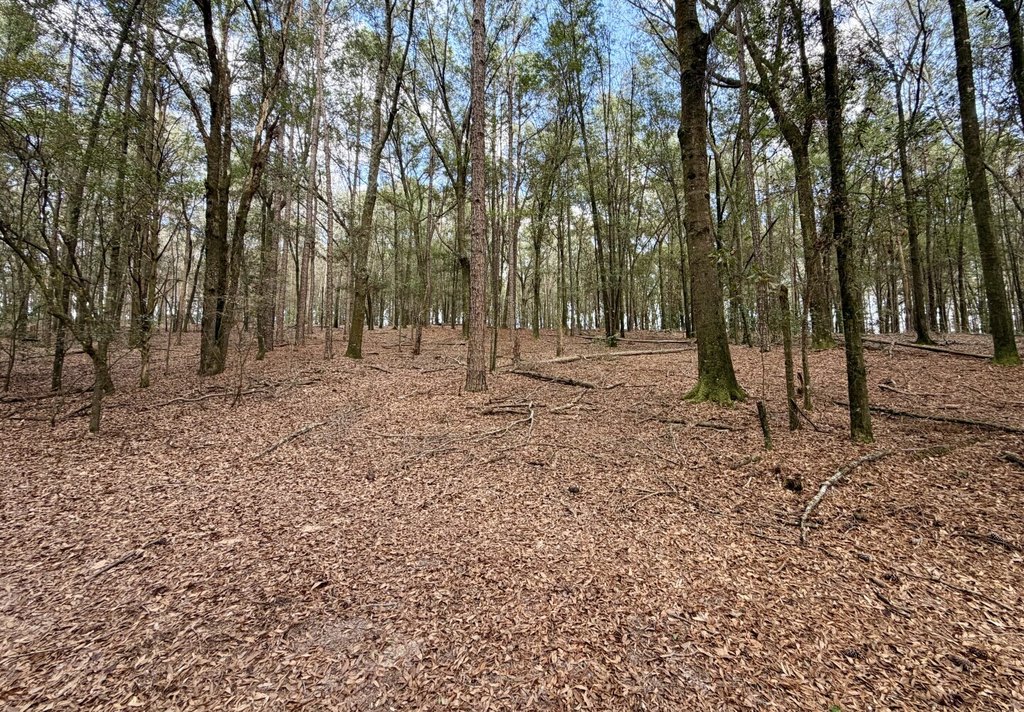 Picture 23