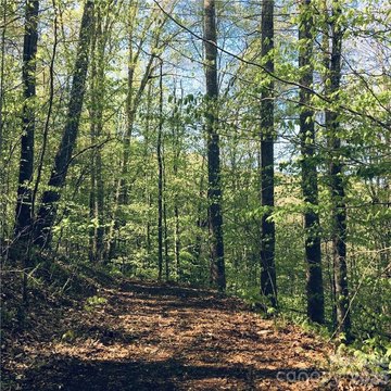 LAND - Mars Hill, NC