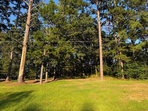 LAND - Kosciusko, MS