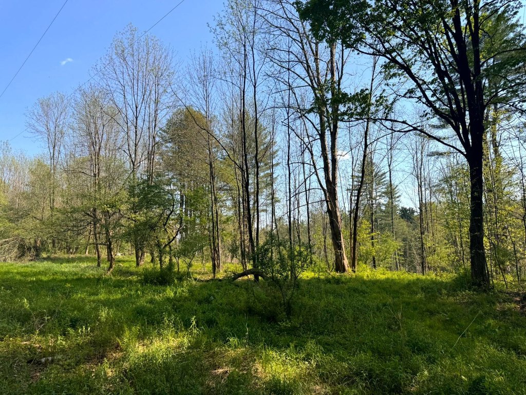 Picture 19