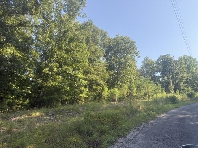 Picture 16