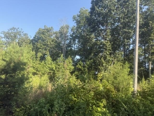 Picture 21
