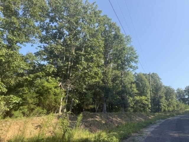 Picture 9
