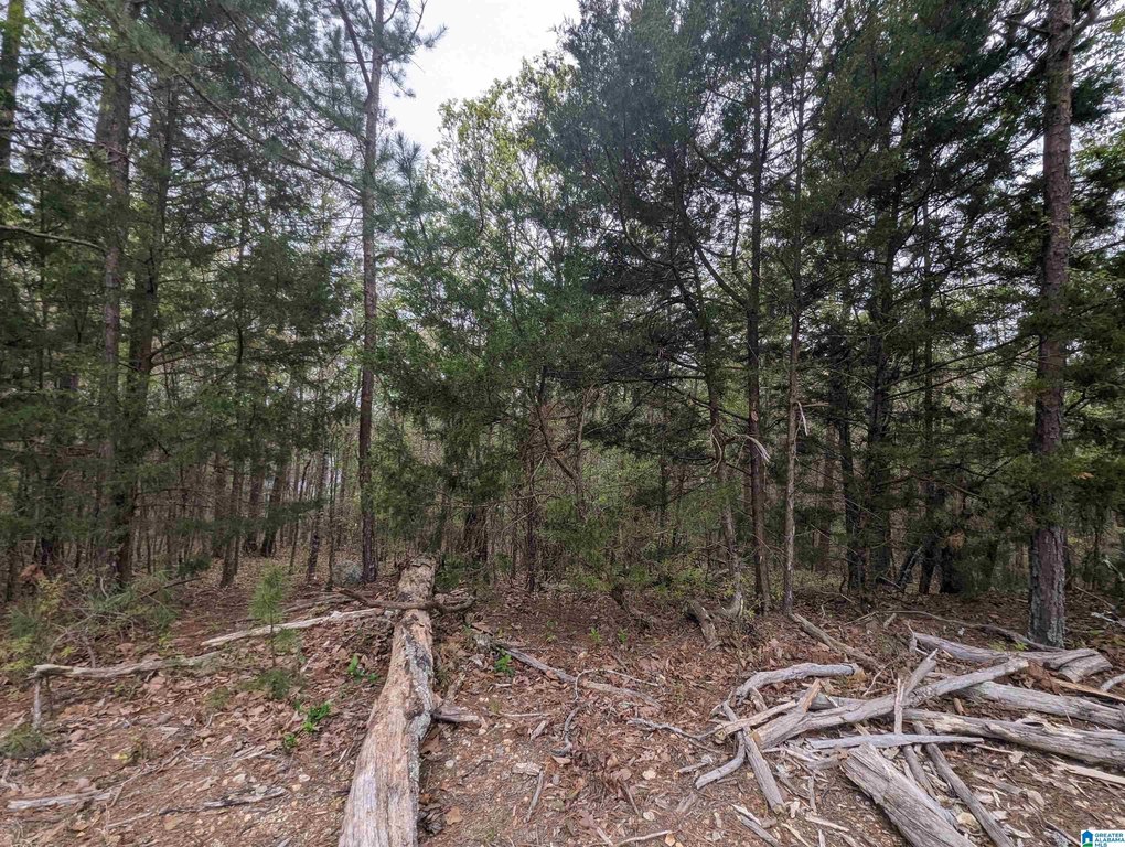Picture 32