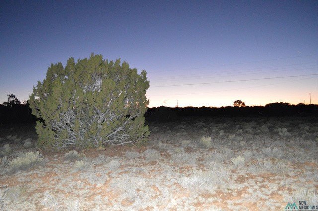 Picture 19