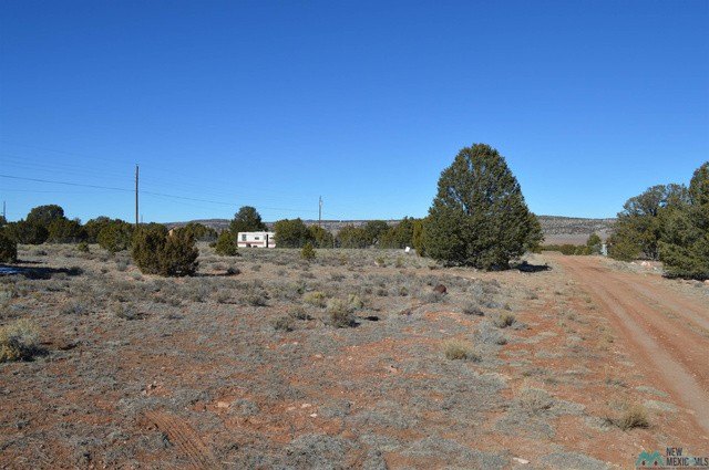 Picture 12