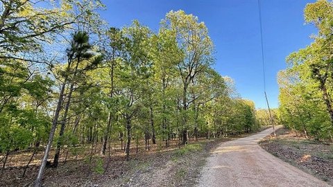Ozark Foothills Wooded Lot