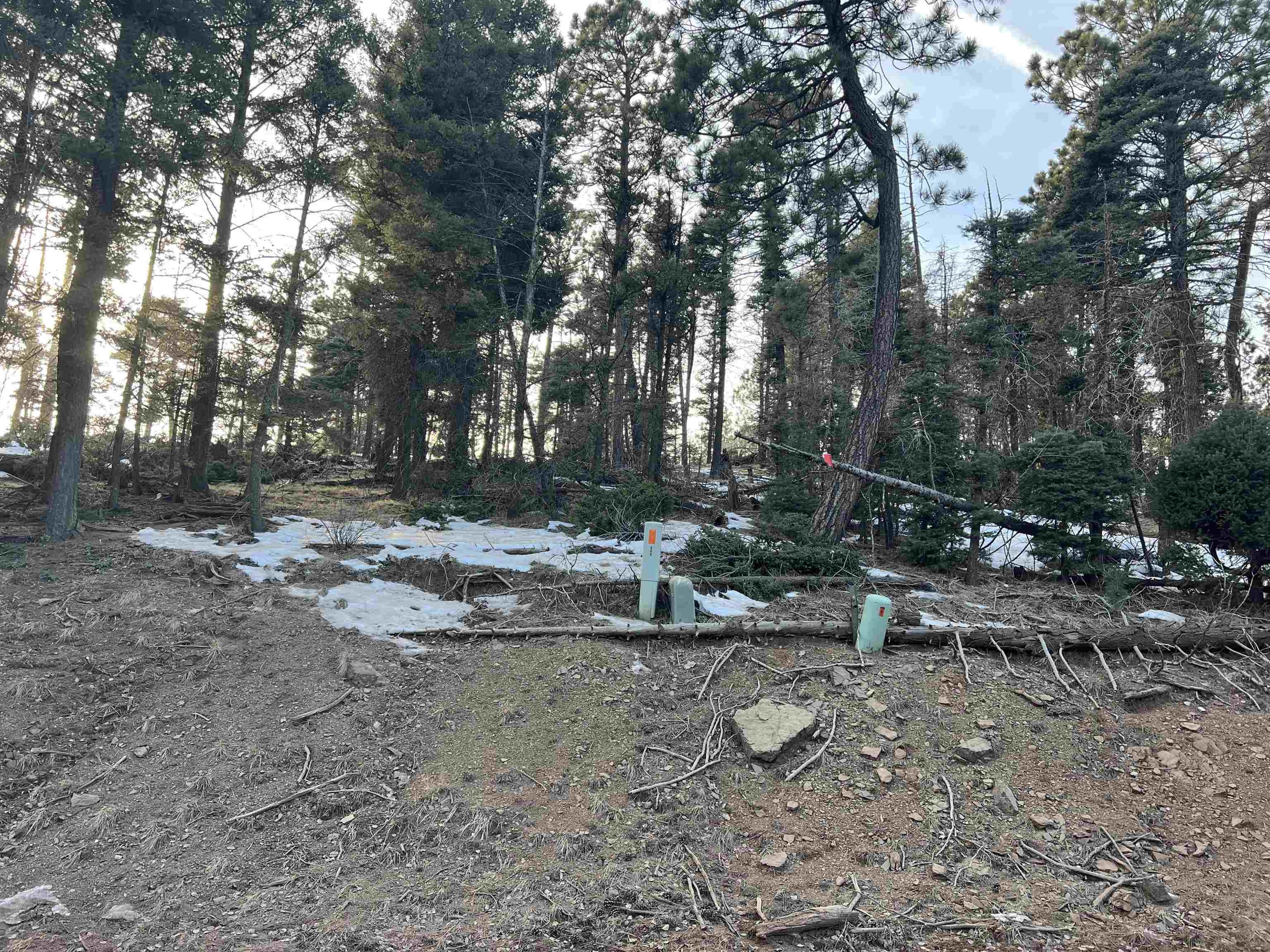 Angel Fire Buildable Mountain Lot