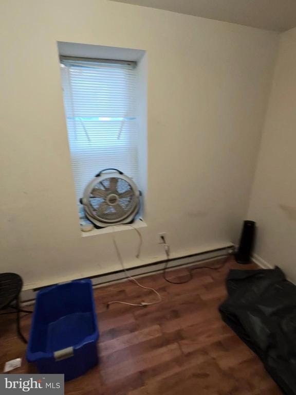 Picture 21
