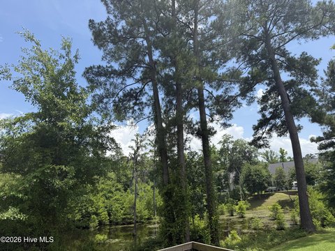 Leland Land with Creek View