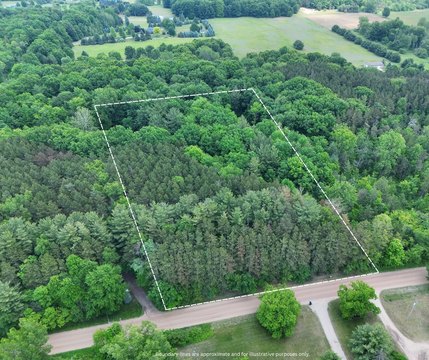 LAND - Cedar Springs, MI