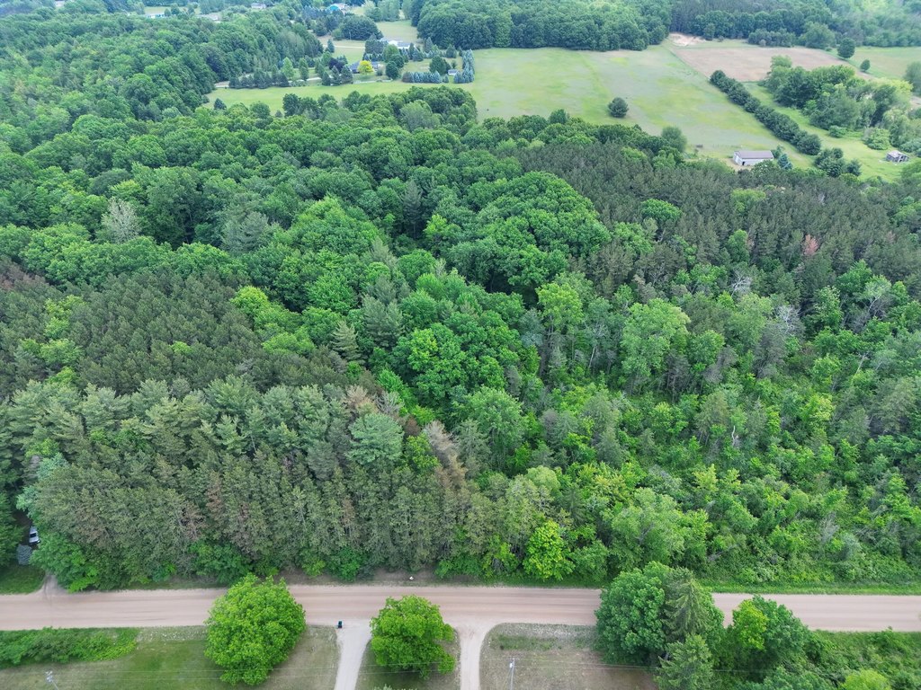 Picture 11