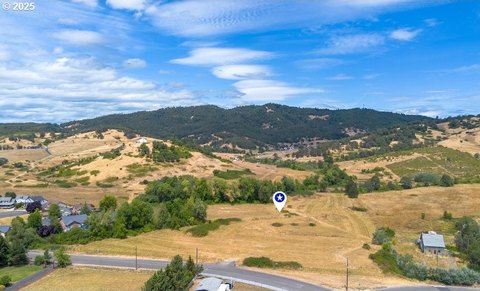 Development Opportunity in Winston, Oregon