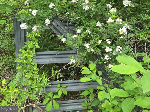 Linden VA Land For Sale