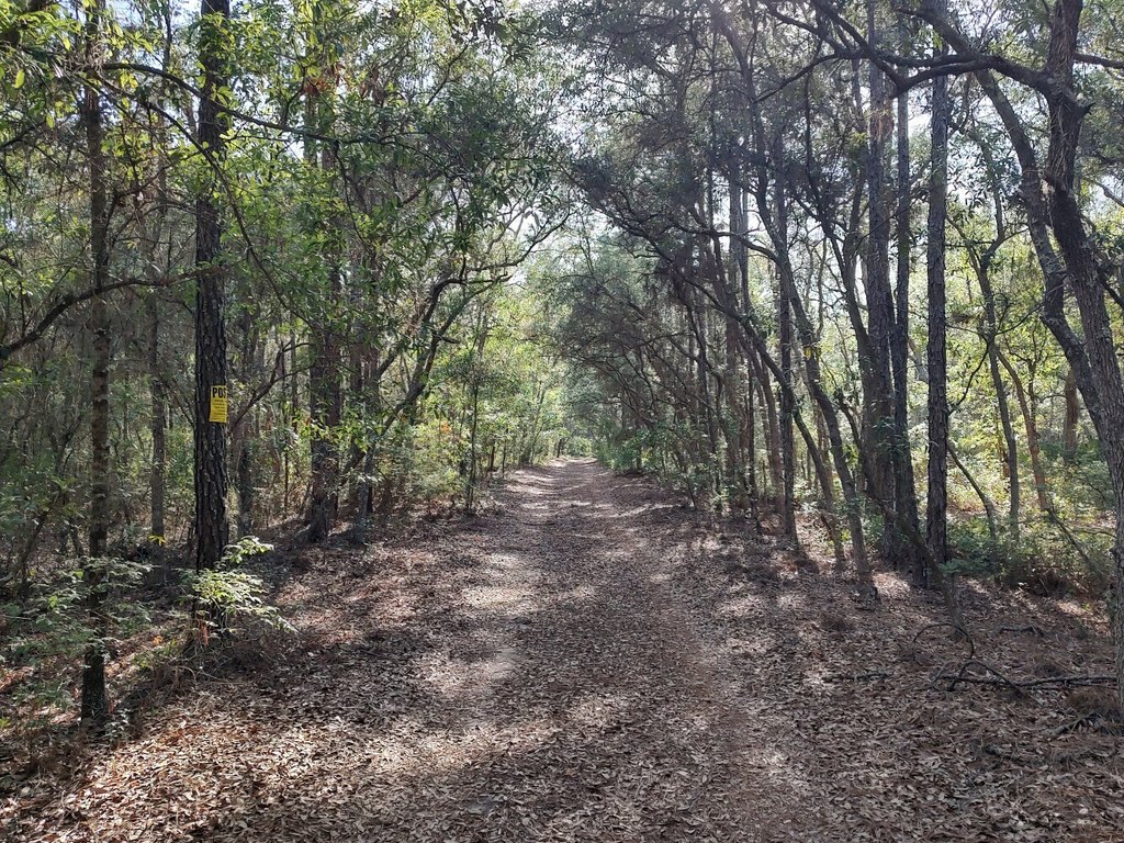 Picture 23