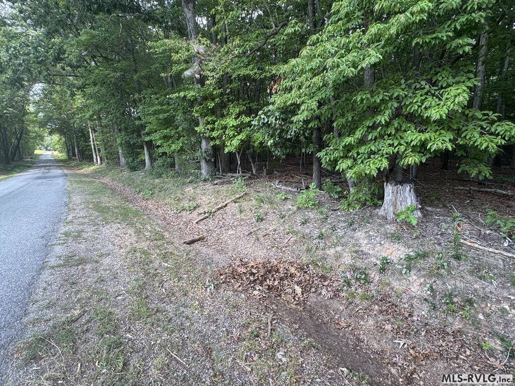 Picture 12
