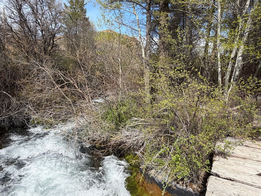 Picture 23