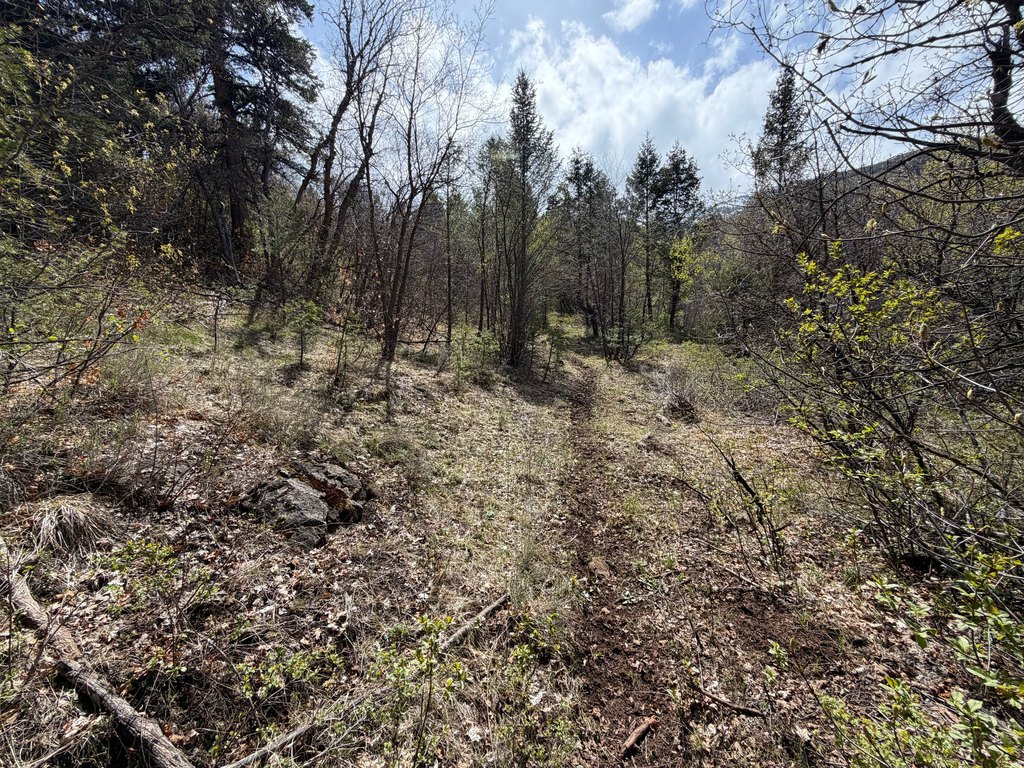 Picture 17