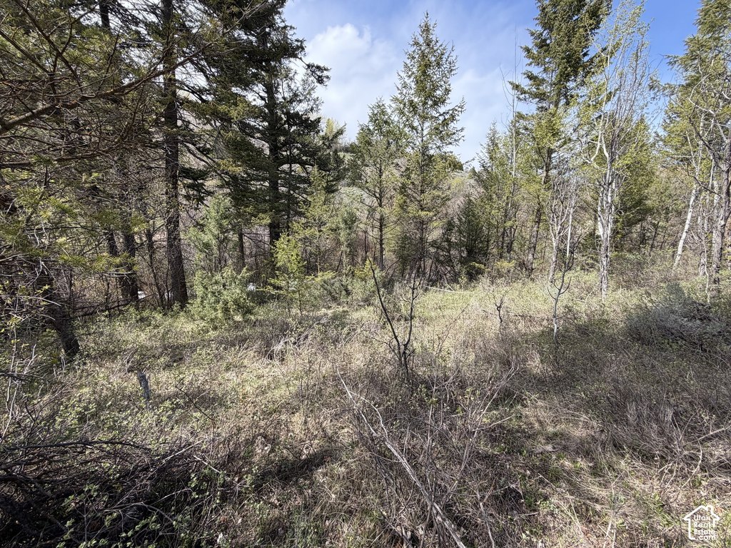 Picture 20