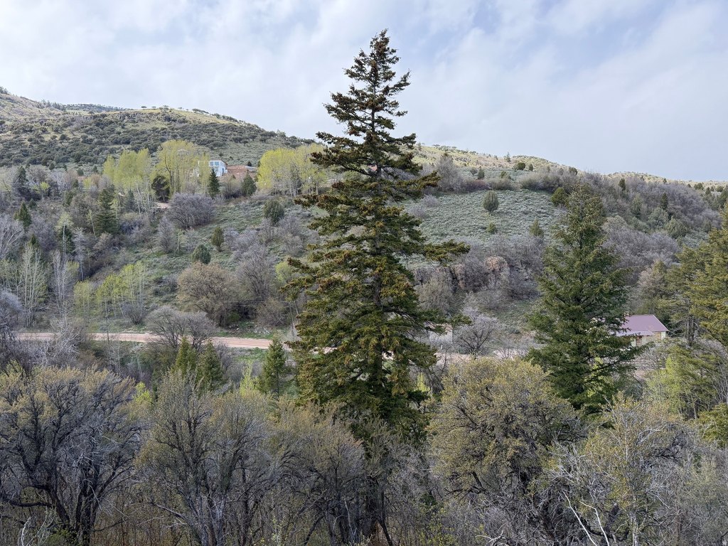 Picture 22